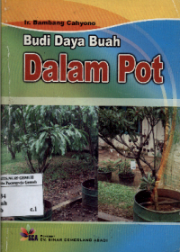 Image of Budi Daya Buah Dalam Pot